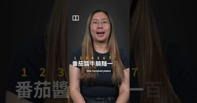 Miss Hong Kong hopeful struggles to learn Cantonese