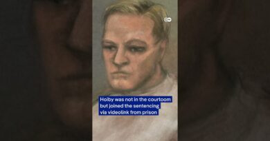 Norwegian crown princess’s son Høiby sentenced to four years in prison for rape | DW News