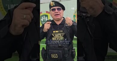 Peru Police arrest suspect disguised as World Cup Mascots | DW News