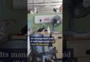 Pigeons steal hospital food amid infestation in Malaysia