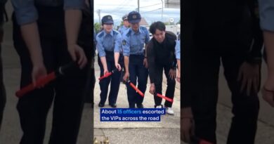 Police officers in Japan escort duck family to safety | DW News