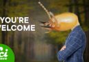 Rebuilding A Forest? Just Add Termites
