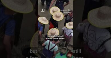 Rice-planting event takes over mall in China