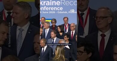 Russian disinformation campaign fuels rift between Poland and Ukraine  | DW News