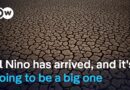 Scientists fear the latest warming cycle will bring floods, droughts and fires | DW News