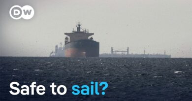 Ships begin evacuating Strait of Hormuz despite ongoing risks | DW News