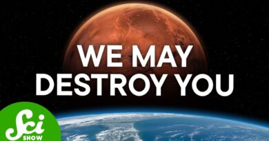 So You Want To Build a Dyson Sphere
