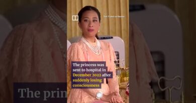 Thai princess dies, aged 47