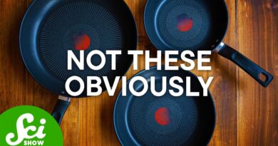 The Best Pan, According to Science