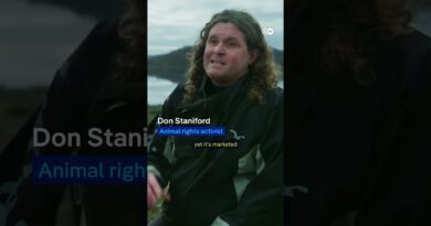 The dark side of salmon farms | DW Documentary