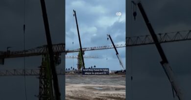 The emissions this oil giant ignored | DW News