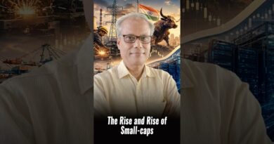 The Rise and Rise of Small-caps