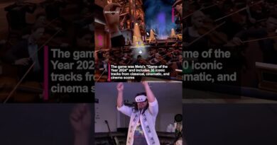This VR game is so peak🫡🤯