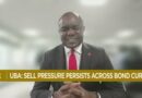 UBA: Investors anticipate raise in yields