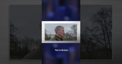 UK Election & Restore Britain #lastweektonight