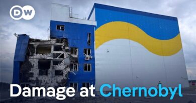 Ukraine accuses Russia of deliberately striking storage facility near Chernobyl | DW News