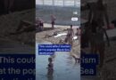 Ukrainian bombardment of Crimea sparks fuel crisis | DW News