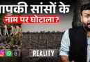 पेड़ पौधों के पैसे खा गए? UP, Rajasthan, MP, Uttarakhand में पौधरोपण के नाम पर क्या घपले के आरोप?