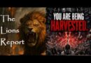 Warning. Not For Everyone. Think TWICE Before Watching This. Mannarino