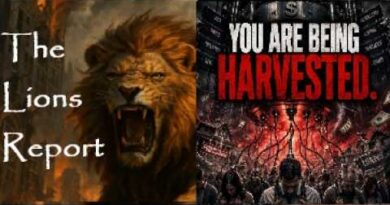 Warning. Not For Everyone. Think TWICE Before Watching This. Mannarino
