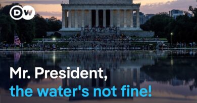 Washington’s Reflecting Pool hit by algae bloom & peeling paint | DW News