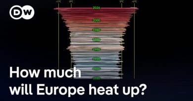 ‘We’re going to break 50°C’ — Europe’s summers are about to radically change | DW News