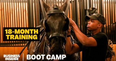 What Army Horse Soldiers Go Through In Arlington Funeral Training