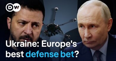 What Europe gets from Ukraine | DW News