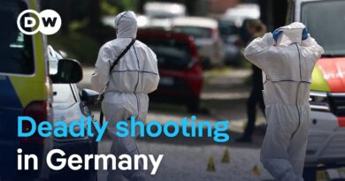What we know about the Stade shooting in northern Germany | DW News