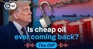 Who’s really benefiting from the Iran-US ‘deal’? | The Dip Podcast