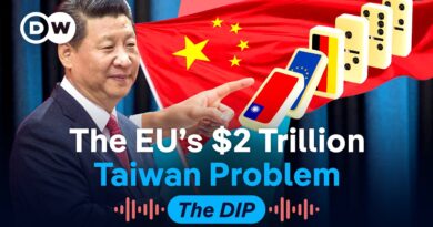Why a war over Taiwan would hit Europe hard | The Dip Podcast