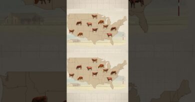 Why America’s independent cattle #ranchers are struggling despite record #beef prices.
