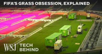 Why FIFA Is Staking Its $3.8B World Cup on This Grass Experiment | WSJ Tech Behind