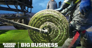Why FIFA Spends Millions On World Cup Grass