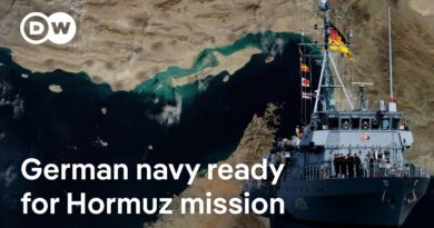 Why Germany’s navy could be crucial for the Strait of Hormuz | DW News