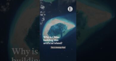 Why is China building this artificial island?