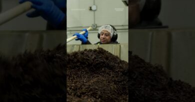 Why Uganda’s #vanilla is winning over global food brands. #vanillabeans #Uganda #SoExpensive