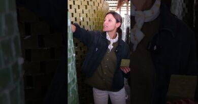Why workers stack thousands of #oliveoil #soap bars in towering formations. #Turkey #stillstanding