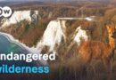 Wild Rügen – Tourism vs. nature conservation | DW Documentary