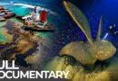 World’s Most Dangerous Shipwrecks: The Toxic Secrets of Sunken Giants | Free Documentary