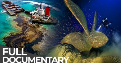 World’s Most Dangerous Shipwrecks: The Toxic Secrets of Sunken Giants | Free Documentary