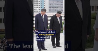 Xi visits Korean war memorial for Chinese Soldiers