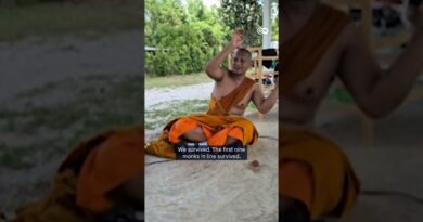 11-year-old crashes into group of Thai monks | DW News