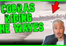 900 Deadly Snakes Ride Flood Wave & Attack Villagers | The Kyle Kulinski Show