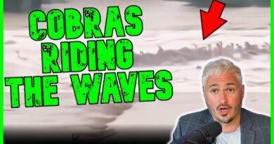 900 Deadly Snakes Ride Flood Wave & Attack Villagers | The Kyle Kulinski Show