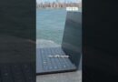 #ad We put the latest Dell XPS through its paces across the city and it delivered!