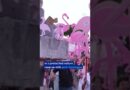 Albanians hold mass anti-government protests for 35th straight day | DW News