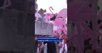 Albanians hold mass anti-government protests for 35th straight day | DW News
