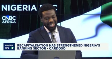 Analysts: Nigerian markets expect MPC hold stance