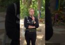 Berlin’s queer community reacts to CSD attack | DW Euromaxx